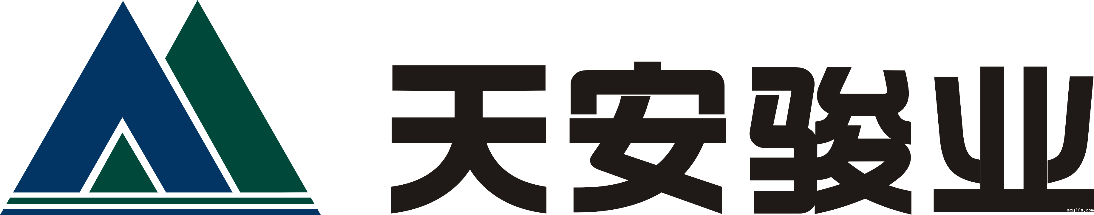 深圳天安骏业投资发展（集团）有限公司
