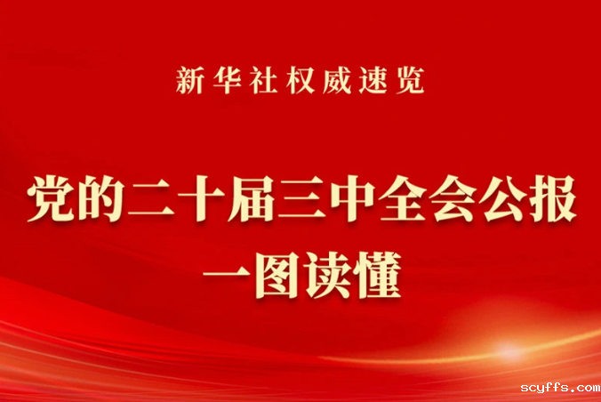 党的二十届三中全会公报一图读懂